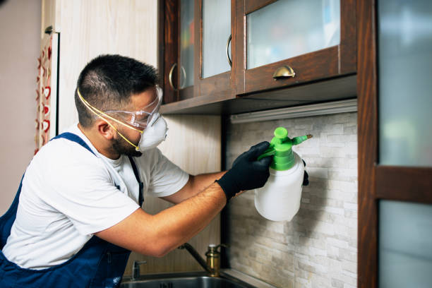 Best Pest Control Near Me in Waterville, ME