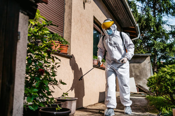 Best Pest Control Near Me  in Waterville, ME