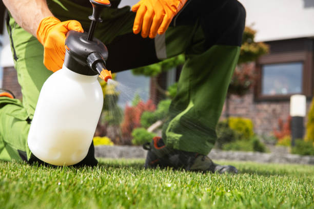 Reliable Waterville, ME Pest Control Solutions